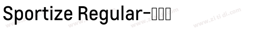 Sportize Regular字体转换